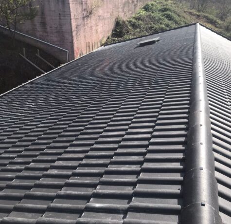 WhatsApp Image 2024-10-19 at 22.04.30 (1)