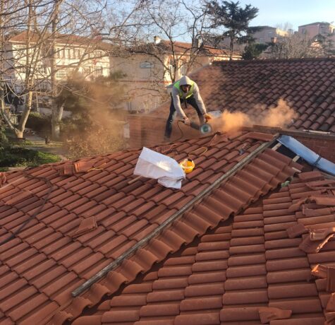 WhatsApp Image 2024-10-19 at 22.06.22 (1)