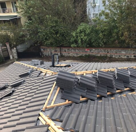 WhatsApp Image 2024-10-19 at 22.11.21 (1)