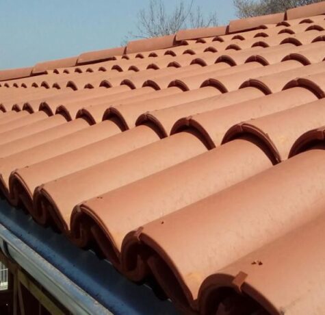 WhatsApp Image 2024-10-19 at 22.13.37