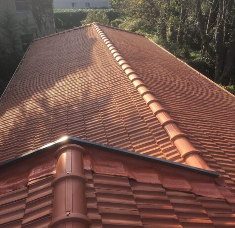 WhatsApp Image 2024-10-19 at 22.33.39 (1)